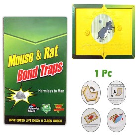 Green Live Mouse And Rat Bond Trap