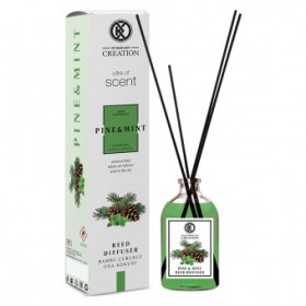 Reed Diffuser Pine & Mint Home Parfum