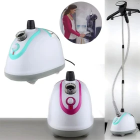 Steam iron with stand