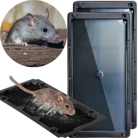 Live Mouse Trap Live Mouse Trap For Mice Mouse Trap Indoor - Temu United  Arab Emirates