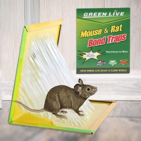 Green Live Mouse And Rat Bond Trap